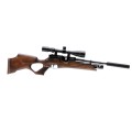 AIR GUN