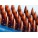 AMMUNITION