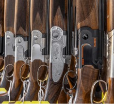 GUNS