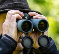 OPTICS