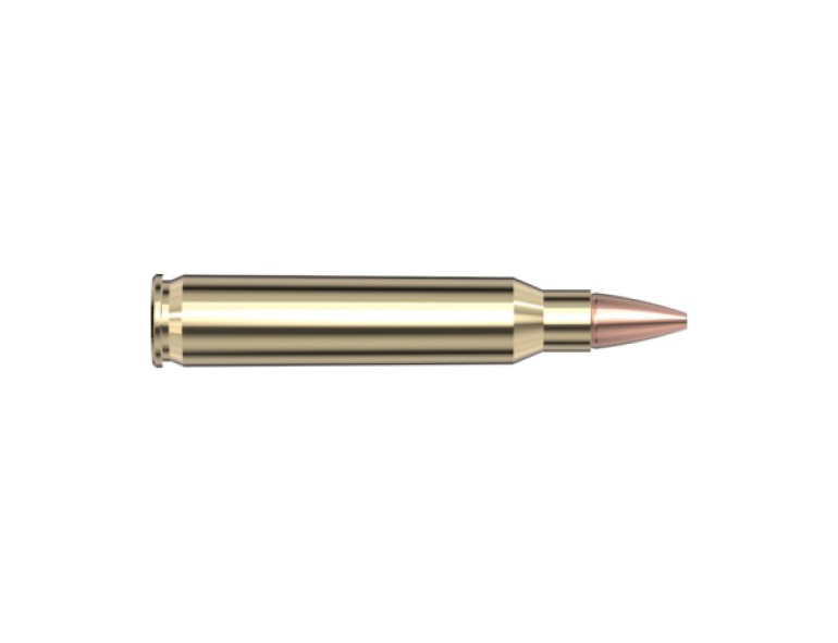 NEW HORNADY 223 50 GRAIN CX SPF