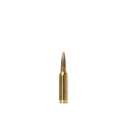 NEW NORMA 6.5 CREEDMOOR 93 GRAIN EVOSTRIKE