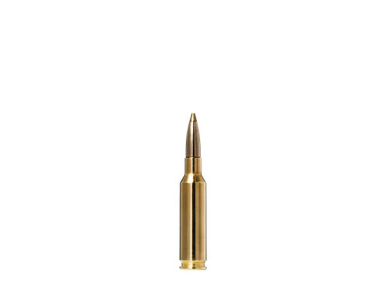 NEW NORMA 6.5 CREEDMOOR 93 GRAIN EVOSTRIKE