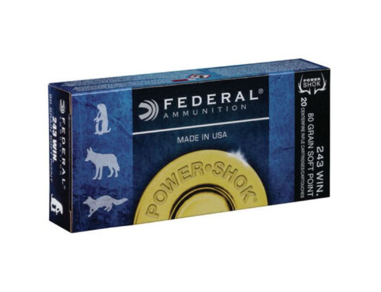 NEW FEDERAL 243 WIN 100 GRAIN POWER-SHOK SOFT POINT