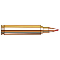 NEW HORNADY 204 RUGER 32 GRAIN V-MAX SPF