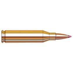 NEW HORNADY 243 WIN 95 GRAIN SST