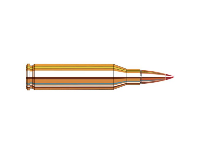 NEW HORNADY 243 WIN 95 GRAIN SST