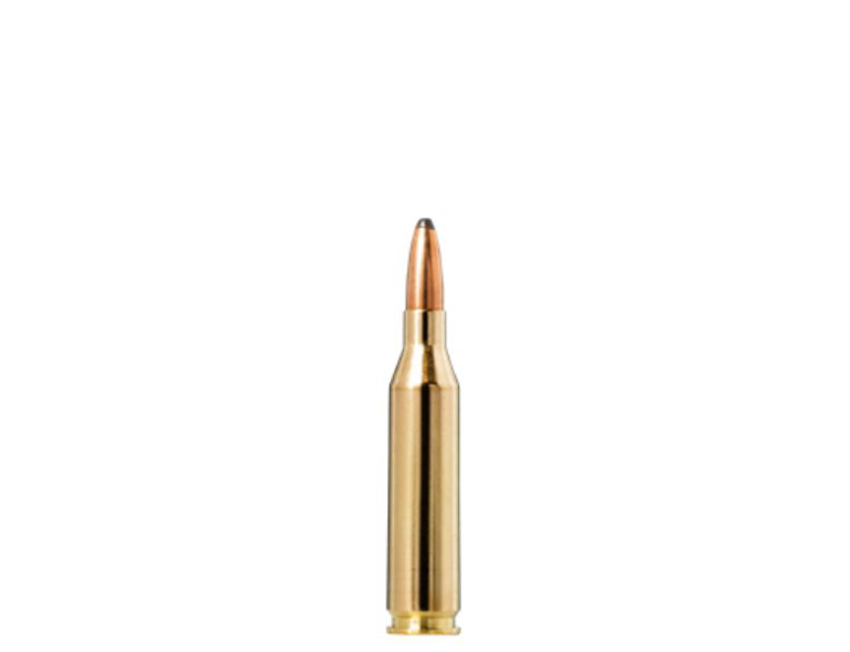 NEW NORMA 243 WIN 100 GRAIN SOFT POINT