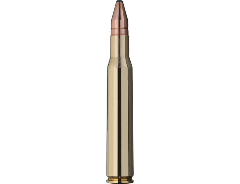 NEW RWS 30-06 SPRINGFIELD 165 GRAIN DK