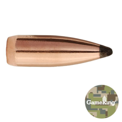 NEW SIERRA 25 100 GRAIN GAMEKING SPITZER #1625