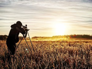 How to start Deer Stalking