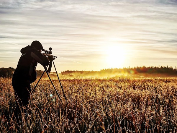 How to start Deer Stalking